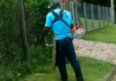 Funcionário da prefeitura de Cunha é fotografado pelo prefeito cortado grama em sua residência